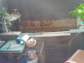 Rumah Second Rp 750 Juta, 1 Lnt, di Sukmajaya, Depok. LT 120