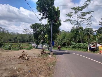 Tanah Kavling Pinggir Jalan, Murah di Jember