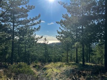 Parcela en Venta en Loteo Fundo Boyeruca, Nuevo terreno en venta
