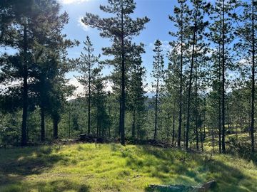 Parcela en Venta en Loteo Fundo Boyeruca, Nuevo terreno en venta