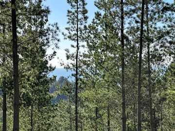 Parcela en Venta en Loteo Fundo Boyeruca, Nuevo terreno en venta