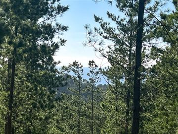 Parcela en Venta en Loteo Fundo Boyeruca, Nuevo terreno en venta
