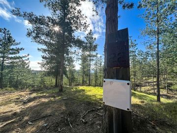 Parcela en Venta en Loteo Fundo Boyeruca, Nuevo terreno en venta