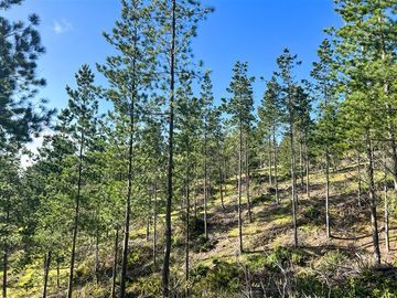 Parcela en Venta en Loteo Fundo Boyeruca, Nuevo terreno en venta
