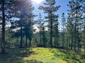 Parcela en Venta en Loteo Fundo Boyeruca, Nuevo terreno en venta