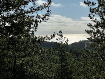 Parcela en Venta en Loteo Fundo Boyeruca, Nuevo terreno en venta