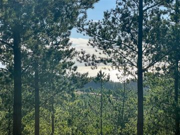 Parcela en Venta en Loteo Fundo Boyeruca, Nuevo terreno en venta