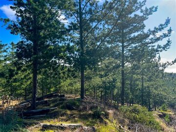 Parcela en Venta en Loteo Fundo Boyeruca, Nuevo terreno en venta