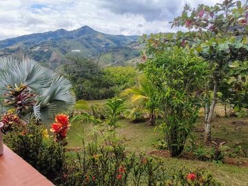 finca en venta en borrero ayerbe. Cod V15571