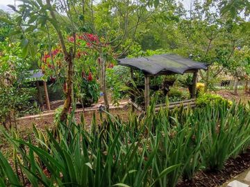 finca en venta en borrero ayerbe. Cod V15571