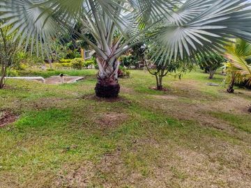 finca en venta en borrero ayerbe. Cod V15571