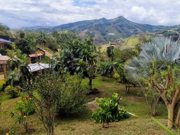 finca en venta en borrero ayerbe. Cod V15571