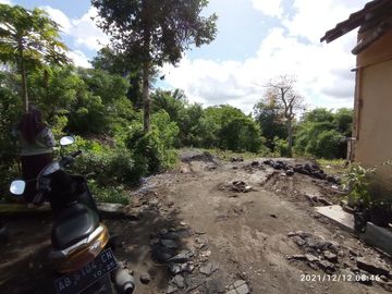 Tanah Pekarangan Dijual Murah Utara Candi Gebang