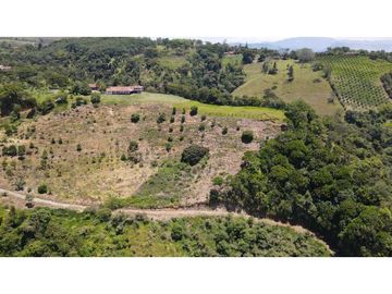 VENTA DE FINCA EN TARSO , SUROESTE DE ANTIOQUIA.