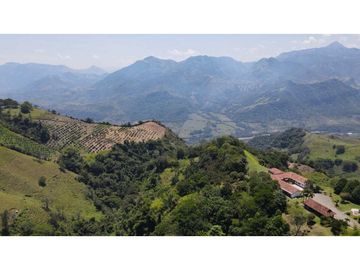 VENTA DE FINCA EN TARSO , SUROESTE DE ANTIOQUIA.