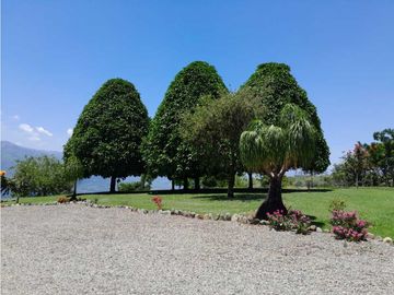 VENTA DE FINCA EN TARSO , SUROESTE DE ANTIOQUIA.