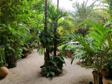 Ballenita -1250 m2 Land and Tons of Room to Expand: Se Vende Casa Cerca del Mar en Ballenita