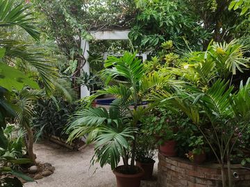 Ballenita -1250 m2 Land and Tons of Room to Expand: Se Vende Casa Cerca del Mar en Ballenita