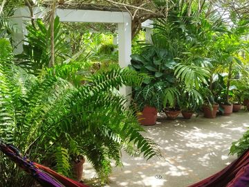 Ballenita -1250 m2 Land and Tons of Room to Expand: Se Vende Casa Cerca del Mar en Ballenita