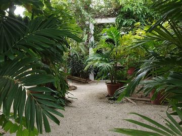 Ballenita -1250 m2 Land and Tons of Room to Expand: Se Vende Casa Cerca del Mar en Ballenita