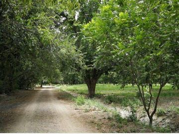 Terreno en Venta en San Buenaventura, Coahuila.