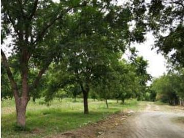 Terreno en Venta en San Buenaventura, Coahuila.