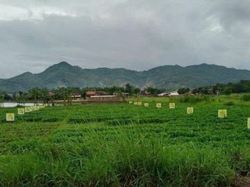 tanah murah kavling murah komplek cluster buahbatu village