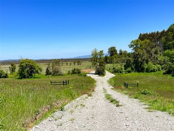 Agrícola en Venta en Terreno Futrono Orilla al Estero (Cerco perimetral gratis)