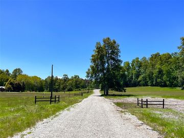 Agrícola en Venta en Terreno Futrono Orilla al Estero (Cerco perimetral gratis)