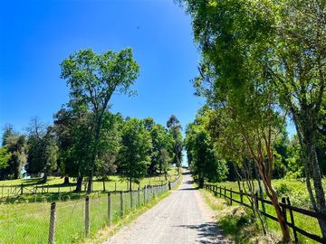 Agrícola en Venta en Terreno Futrono Orilla al Estero (Cerco perimetral gratis)