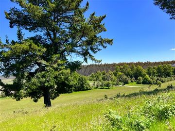 Agrícola en Venta en Terreno Futrono Orilla al Estero (Cerco perimetral gratis)