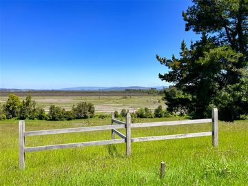 Agrícola en Venta en Terreno Futrono Orilla al Estero (Cerco perimetral gratis)