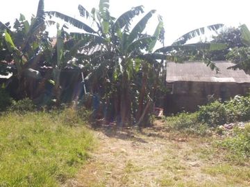 Dijual Tanah Di Kp. Pagerhaur BSD City Tangerang Lokasi di Belakang Foresta Business Loft Signature Strategis