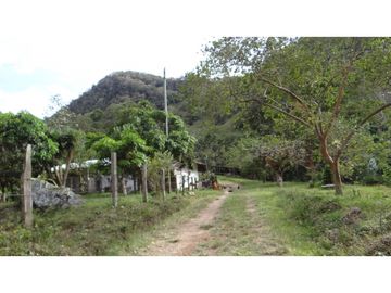 Finca Agroganadera,Guaduas,vereda ceniceros,sector Piedra Capira