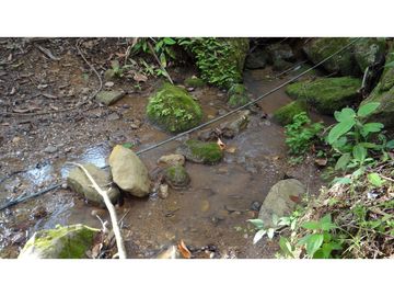 Finca Agroganadera,Guaduas,vereda ceniceros,sector Piedra Capira