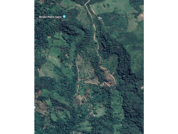 Finca Agroganadera,Guaduas,vereda ceniceros,sector Piedra Capira