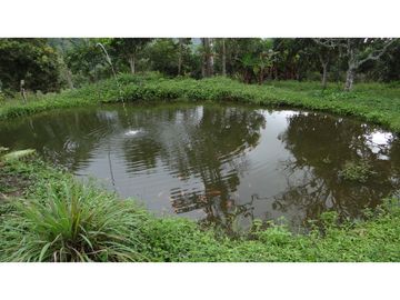 Finca Agroganadera,Guaduas,vereda ceniceros,sector Piedra Capira