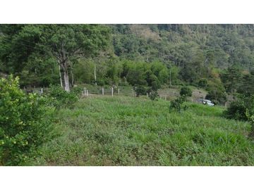 Finca Agroganadera,Guaduas,vereda ceniceros,sector Piedra Capira