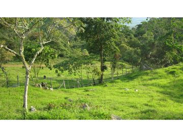 Finca Agroganadera,Guaduas,vereda ceniceros,sector Piedra Capira