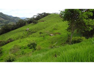 Finca Agroganadera,Guaduas,vereda ceniceros,sector Piedra Capira