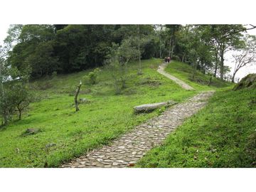 Finca Agroganadera,Guaduas,vereda ceniceros,sector Piedra Capira