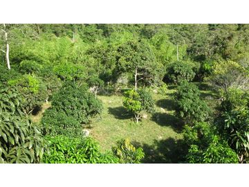 Finca Agroganadera,Guaduas,vereda ceniceros,sector Piedra Capira