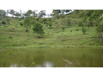 Finca Agroganadera,Guaduas,vereda ceniceros,sector Piedra Capira