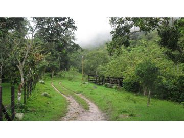 Finca Agroganadera,Guaduas,vereda ceniceros,sector Piedra Capira