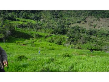Finca Agroganadera,Guaduas,vereda ceniceros,sector Piedra Capira