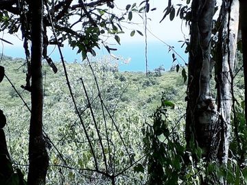 Se Vende Terreno para Desarrollar Cerca del Mar en Salango