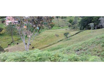 Finca Independiente Vereda Bella Vista Guarne