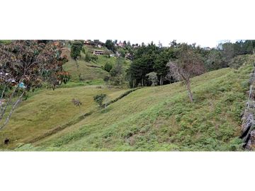 Finca Independiente Vereda Bella Vista Guarne