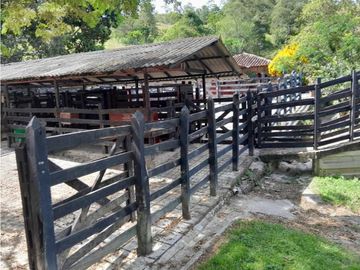 VENTA DE FINCA GANADERA, VALPARAISO, SUROESTE ANTIOQUEÑO