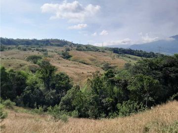 VENTA DE FINCA GANADERA, VALPARAISO, SUROESTE ANTIOQUEÑO